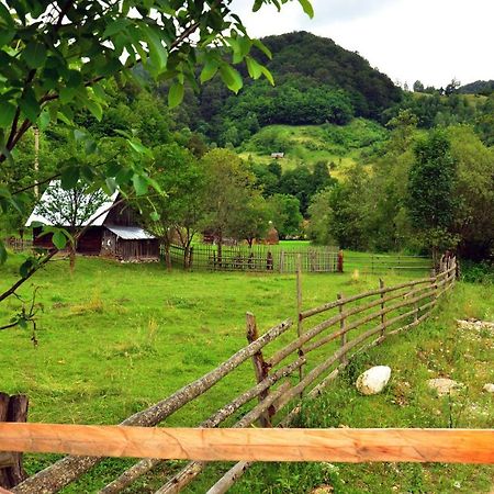 Pensiunea Valea Pinului Rau Sadului Exterior foto