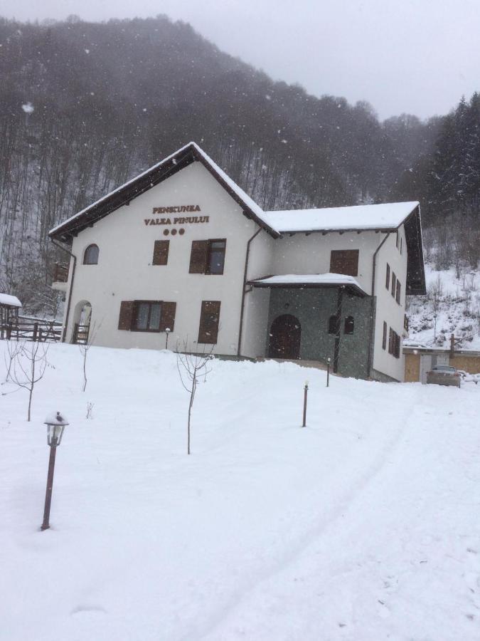 Pensiunea Valea Pinului Rau Sadului Exterior foto