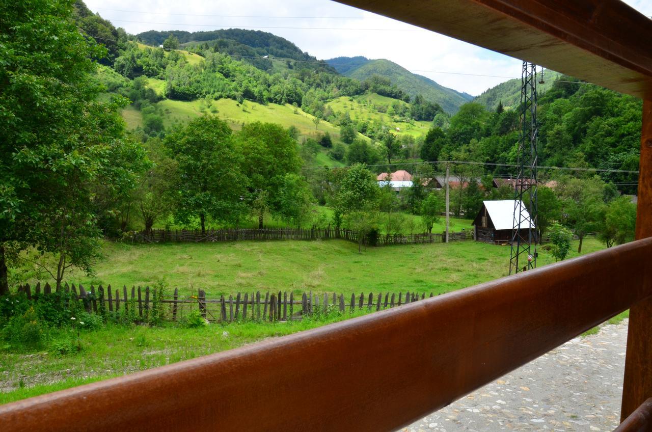 Pensiunea Valea Pinului Rau Sadului Exterior foto