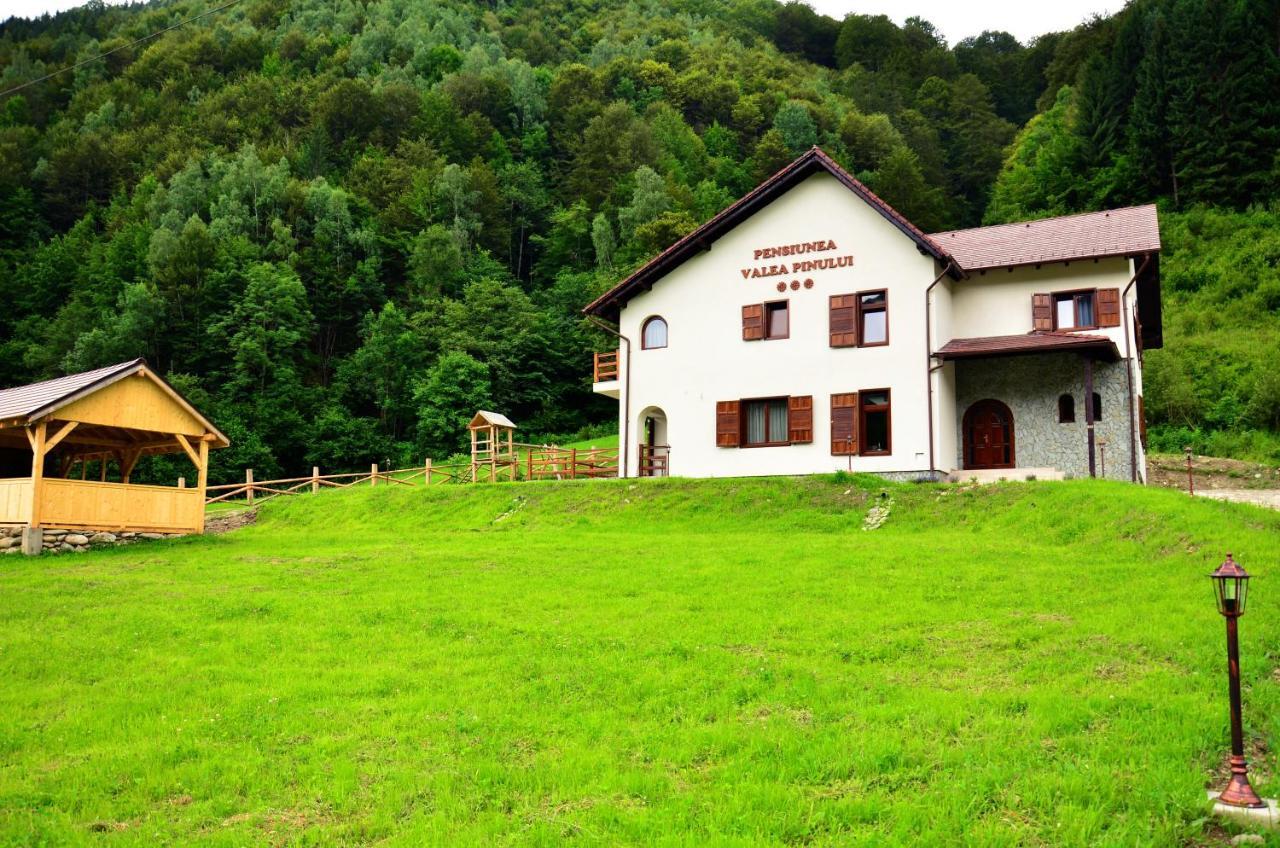 Pensiunea Valea Pinului Rau Sadului Exterior foto